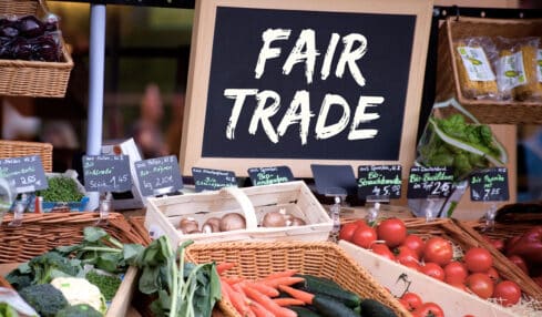 Detmold bleibt Fairtrade-Stadt